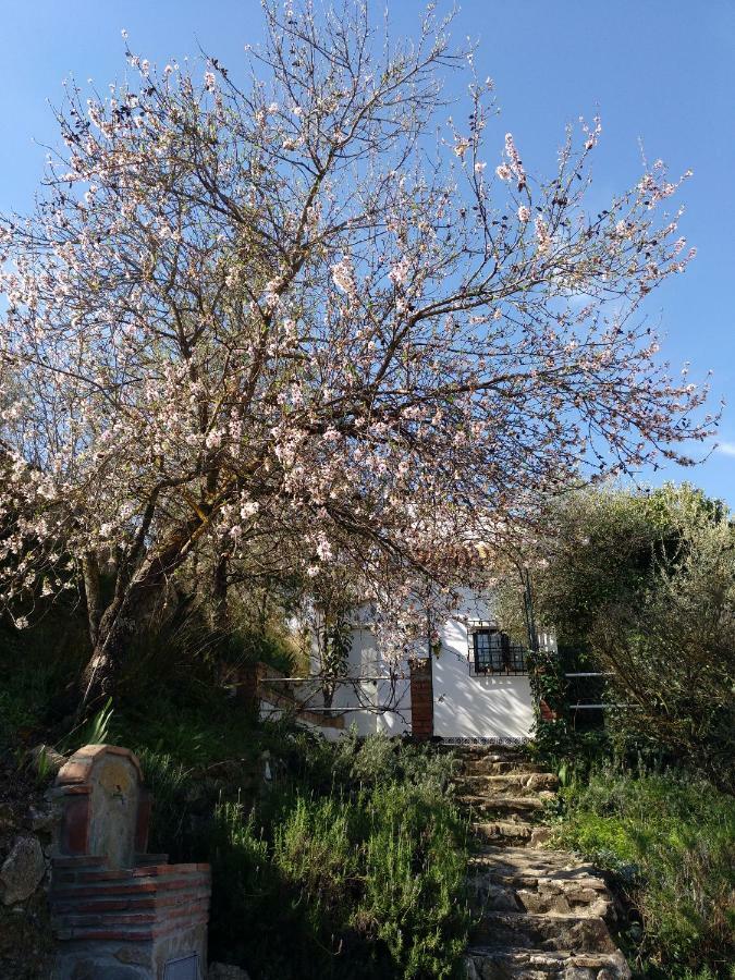 בית הארחה Ríogordo 	Casa La Liebrecilla מראה חיצוני תמונה