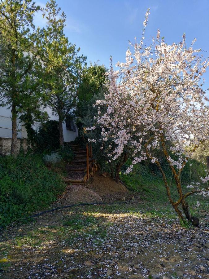 בית הארחה Ríogordo 	Casa La Liebrecilla מראה חיצוני תמונה